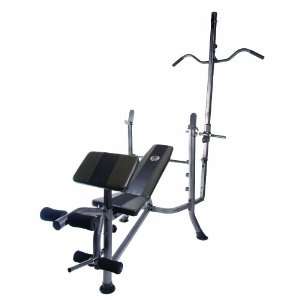 CAP Barbell Lat and Preacher Deluxe Standard Weight Bench  
