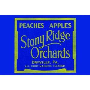  Stony Ridge Orchards Peaches & Apples 20X30 Canvas Giclee 