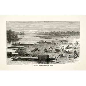  1881 Print Indians Hunt Turtle Egg Philippines Shore Water 
