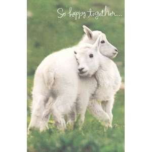  Easter Card So Happy Together Husband Health & Personal 