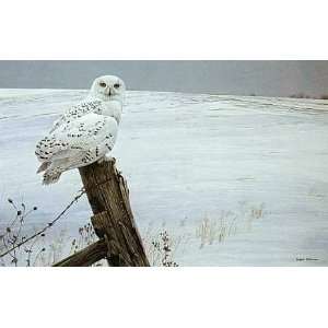    Robert Bateman   Ready for the Hunt Snowy Owl
