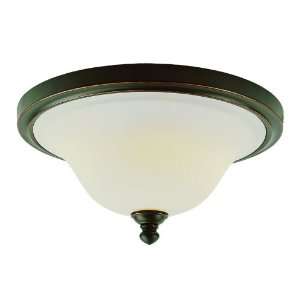   Classic Two Light Down Lighting Flush Mount Ceiling Fixture Home