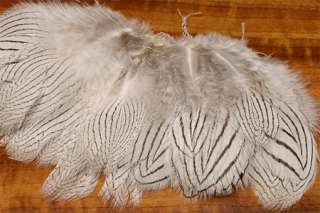 Silver Pheasant Body Feathers Strung   Fly Tying  
