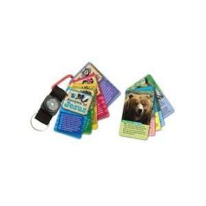  VBS SonRock Collectible Critter Cards (Package of 5 