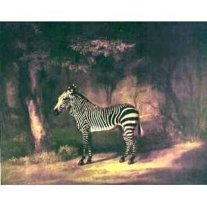   Reproduction   George Stubbs   24 x 20 inches   A Zebra Home