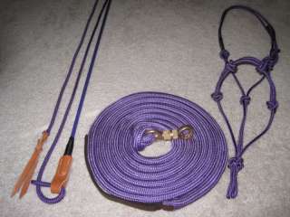 THOMEY HORSE TRAINING STICK LEAD HALTER FITS PARELLI P  