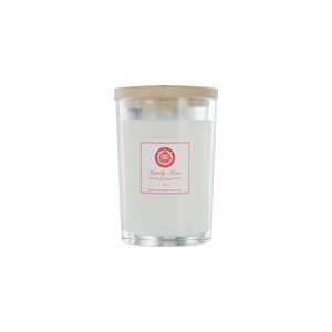  Scented Candle Soy Holiday Candle 7 Oz Tumbler By aromatherapy 