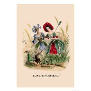  Bleuet et Coquelicot Giclee Poster Print by J.J 