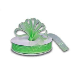  Corsage Ribbon 5/8 inch 50 Yards, Apple Green Iridescent 