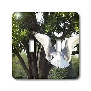Edmond Hogge Jr Birds   Take Off   Light Switch Covers   double toggle 
