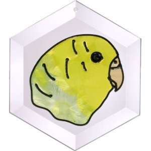  Budgerigar Suncatcher