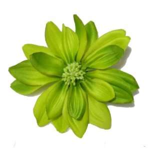  NEW Cute 3 Inch Lime Green Hair Flower Clip, Limited 