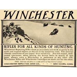  1905 Ad Winchester Repeating Arms Yak Hunting Rifles   Original 
