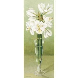  Amaryllis by Joyce Galley 10x22 Patio, Lawn & Garden