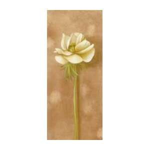   White Flower   Artist Mar Alonso  Poster Size 14 X 6