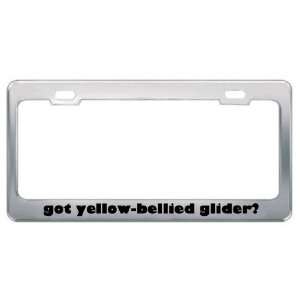Got Yellow Bellied Glider? Animals Pets Metal License Plate Frame 