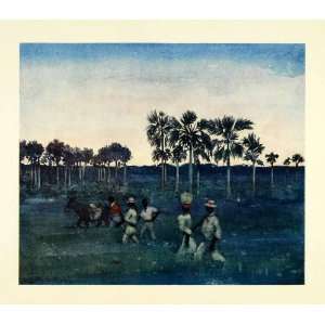  1912 Print Archibald Stevenson Forrest Landscape Art Palm 