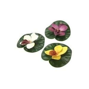 Best Quality Floating Lilly Pad Variety Pack / Size 3 Pack 