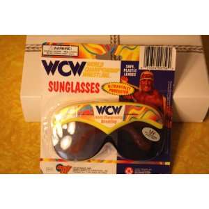  WCW World Championship Wrestling Kids Sunglasses Toys 