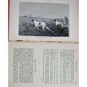  BailyS Magazine 1890 Pointers Carlo Carlist Hounds Dog 