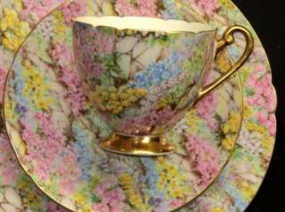 Shelley Ripon ROCK GARDEN CHINTZ GOLD Tea cup and saucer TRIO  