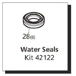  Water Seal Kit for RMW Model Pumps (AR42122) Patio, Lawn 