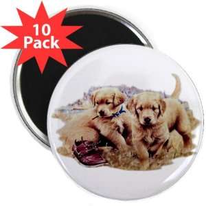  2.25 Magnet (10 Pack) Golden Retriever Puppies 