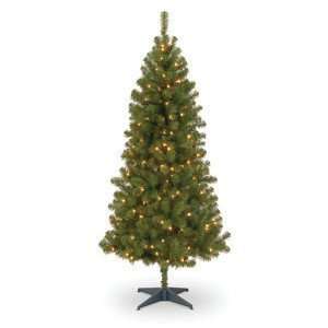  Canadian Grande Fir Tree with Clear Lights   6 Foot