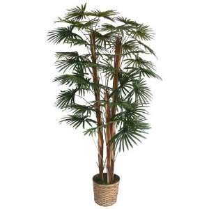 Laura Ashley 5 Foot Tall High End Realistic Palm Tree with Wicker 