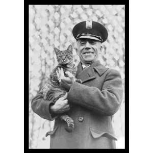  Tige the White House Cat   Safe and Sound 20x30 poster 