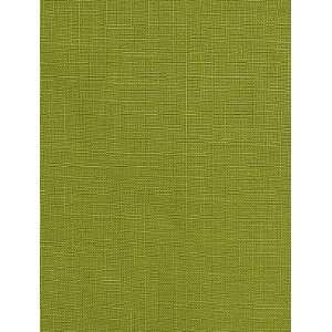  Pindler & Pindler Winston   Lime Fabric