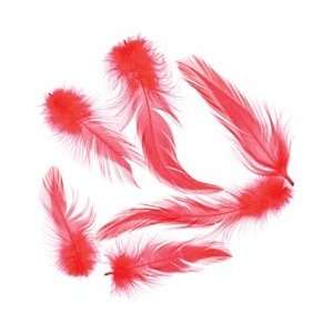  Zucker Feather Neck Hackle Feathers .04 Ounces Red B101 R 