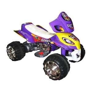  Mini Motos ATV Sport 12v Purple Toys & Games
