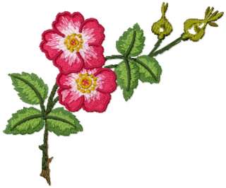Wild Roses machine embroidery designs set 5x7 hoop  