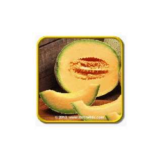  1 Lb Melon Seeds   Iroquois Bulk Vegetable Seeds Patio 