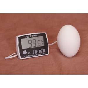  Egg o meter   A Better Egg Thermometer