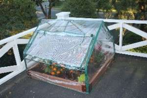 New PVC Greenhouse Kit w/ Raised Garden Base   4 X 4  