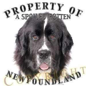  Newfoundland LANDSEER dog breed THROW PILLOW 16 x 16