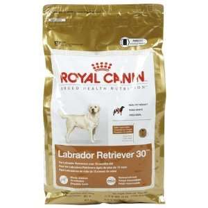 Royal Canin Labrador Retriever 30   5.5 lbs (Quantity of 1)