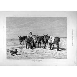    1885 Marshall Beach Sea Side Donkey Rides Lady Dog