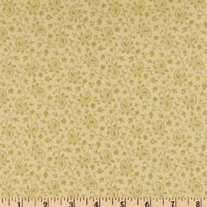  45 Wide Meadow Sweet Paisley Light Green Fabric By The 