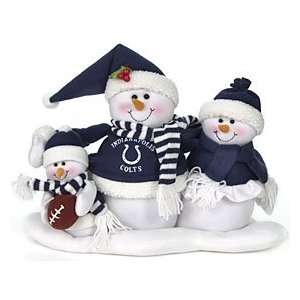  Indianapolis Colts Table Top Snow Family Sports 