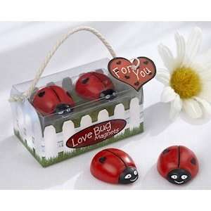 Love Bugs Ladybug Magnets