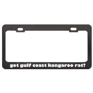 Got Gulf Coast Kangaroo Rat? Animals Pets Black Metal License Plate 