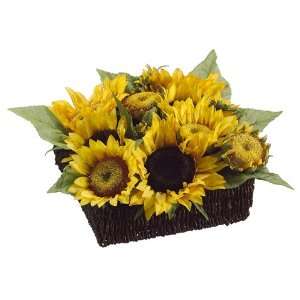  7 Sunflower Arrangement in Square Basket Yellow (Pack of 