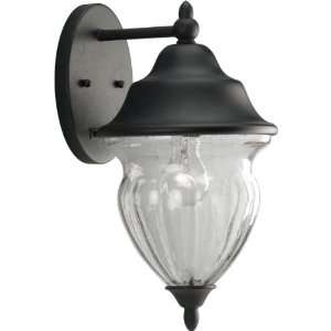 Progress Lighting P5613 31 One Light Wall Lantern with Clear Seeded 