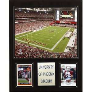  NFL University of Phoenix Stadium Plaque Sports 