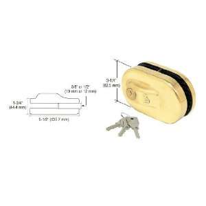   Finish Glass Mounted Slip on Patch Lock for use with 3/8 (10mm) Glass