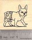 Dog, Cat, Bird, Pet Rubber Stamp With Blank Message Slate L18113 WM 