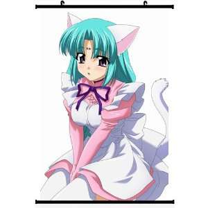  Lost Universe Anime Wall Scroll Poster Canal Volfied (16 